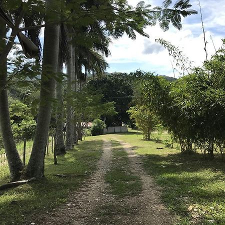 Cabanas Maya Rue Palenque Dış mekan fotoğraf