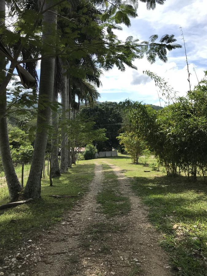 Cabanas Maya Rue Palenque Dış mekan fotoğraf